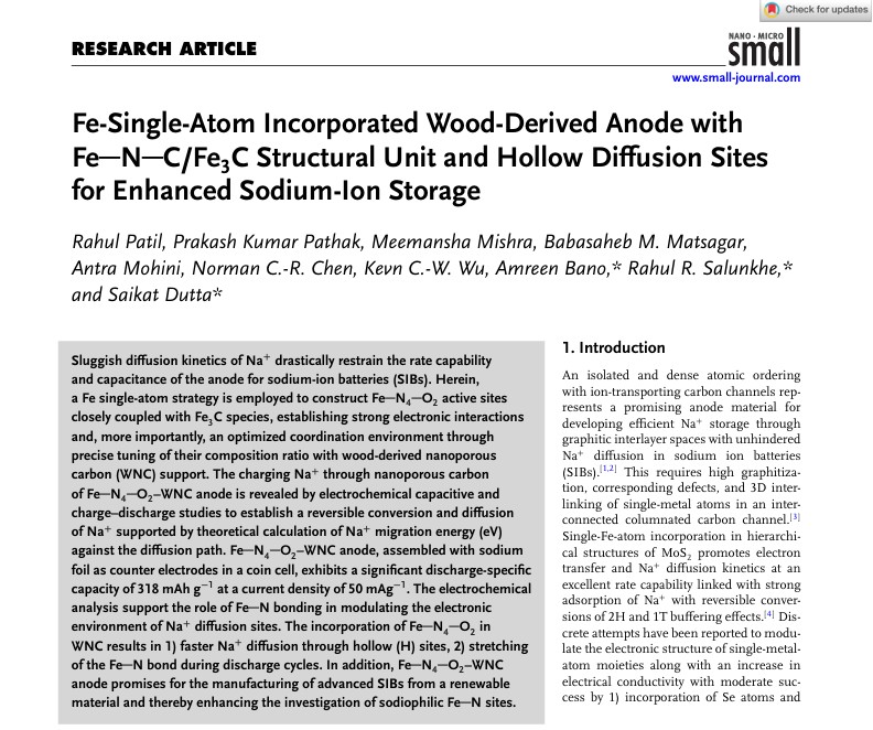 Fe-Single-Atom Wood-Derived Anode